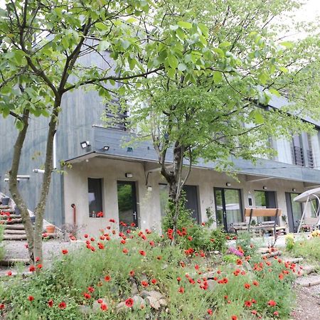 Nika Vacheishvili'S Guest House Didi Ateni Exterior photo