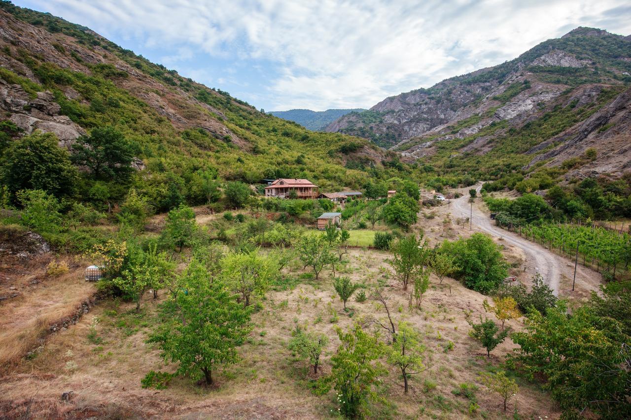Nika Vacheishvili'S Guest House Didi Ateni Exterior photo