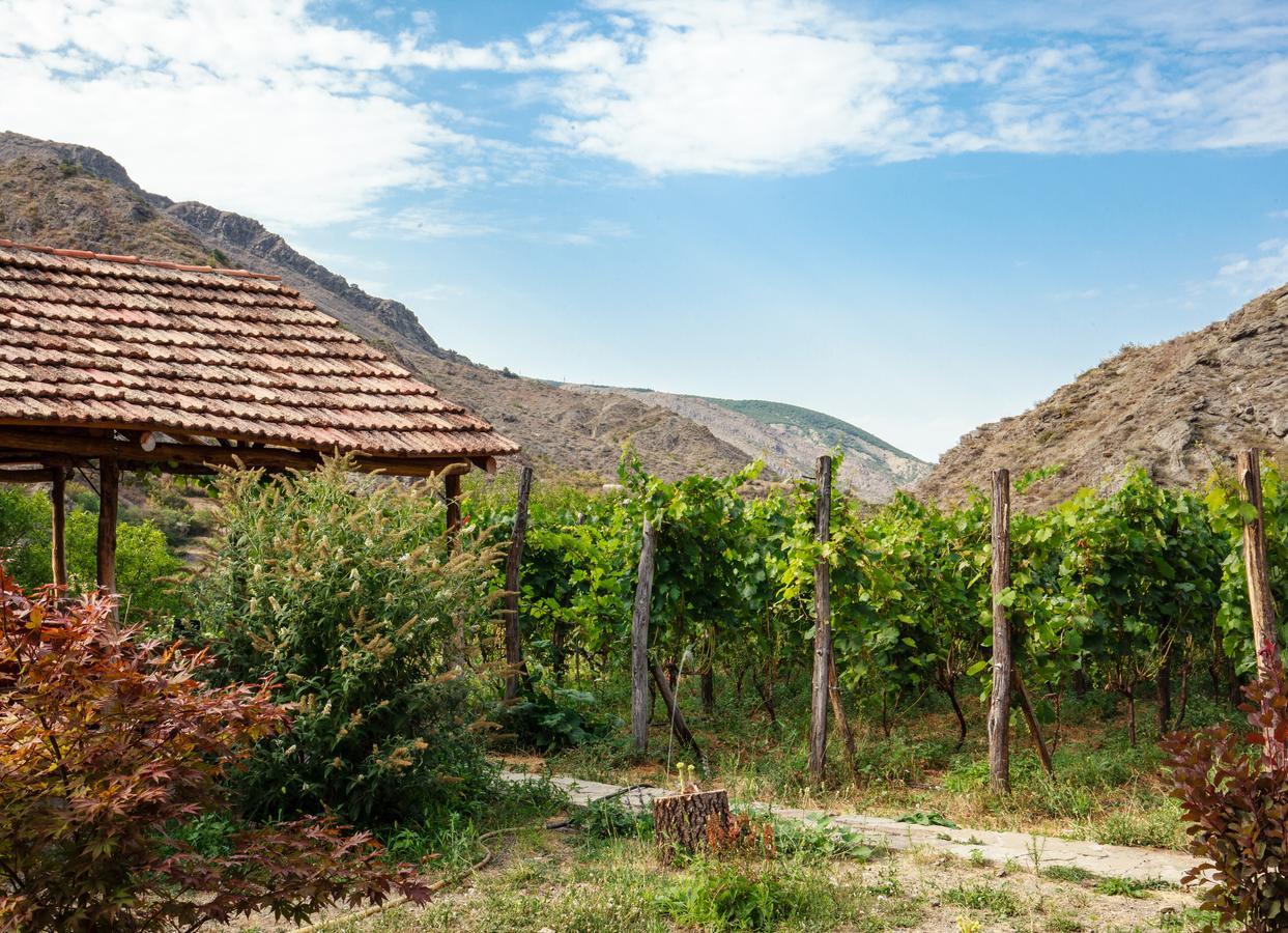 Nika Vacheishvili'S Guest House Didi Ateni Exterior photo