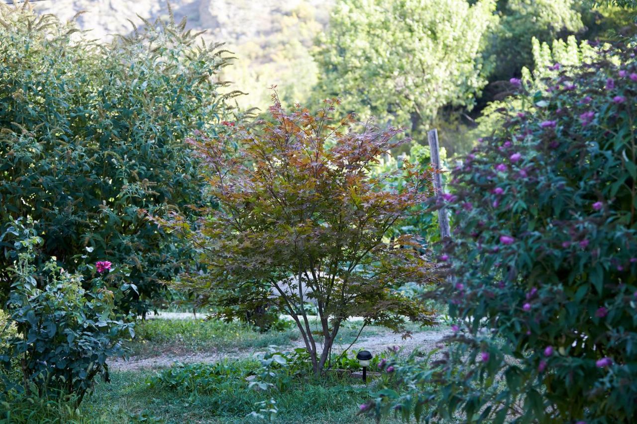 Nika Vacheishvili'S Guest House Didi Ateni Exterior photo